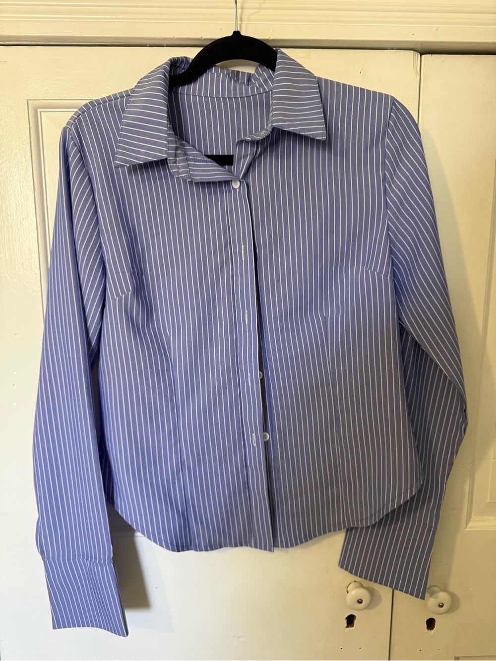 Classic Blue Stripe Button-Down Shirt